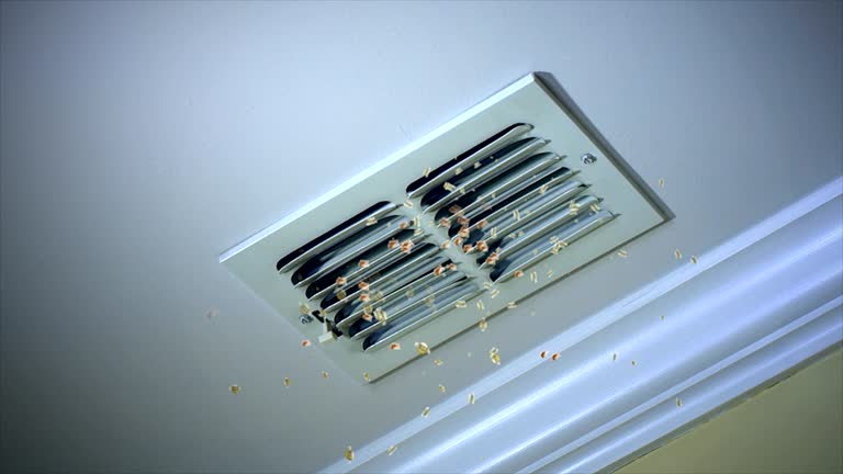 Best Dryer Vent Cleaning Services  in West Blocton, AL