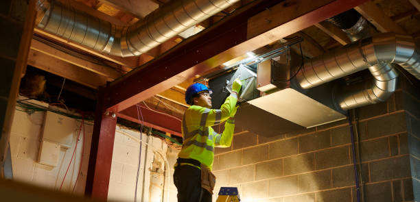 Air Duct Mold Removal in AL
