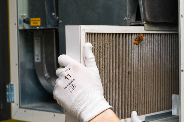 Best Air Duct Mold Removal  in West Blocton, AL