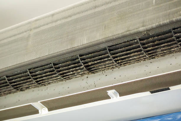 Best Professional Duct Cleaning Services  in West Blocton, AL